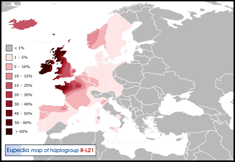 Haplogroup R1b (Y-DNA) - Eupedia