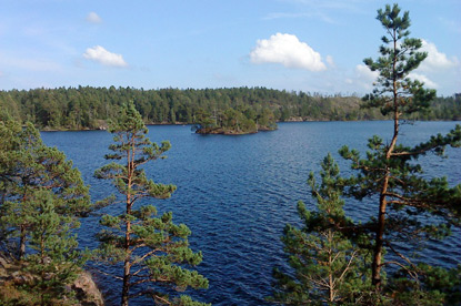 Tyresta National Park (photo by Shark at lt.wikipedia)