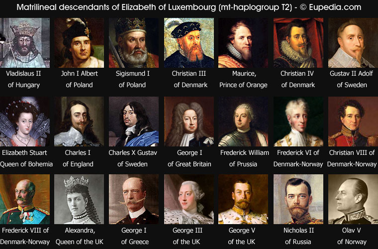 Matrilineal descendants of Elizabeth of Luxembourg, all belonging to mtDNA haplogroup T2 -  Eupedia.com